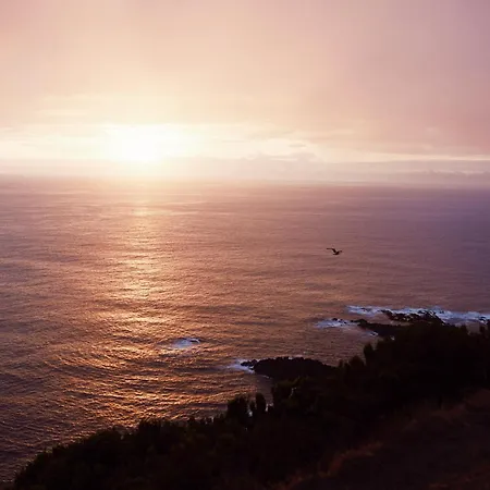 Salt Lips - Azores Surf Experience-2